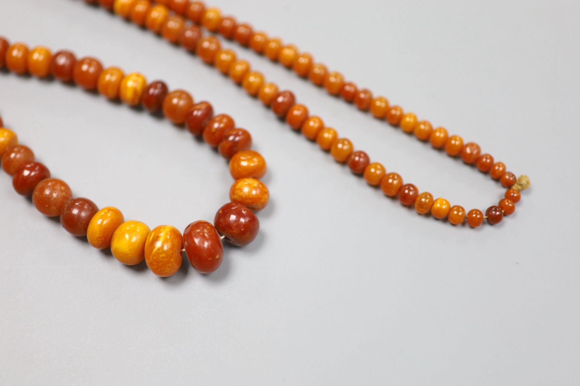 A single strand graduated amber bead necklace, 76cm, gross weight 39 grams.